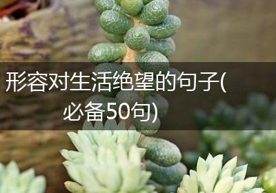 形容对生活绝望的句子(必备50句)