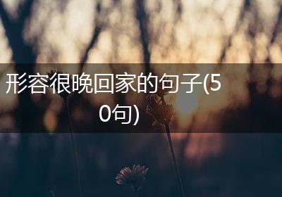 形容很晚回家的句子(50句)