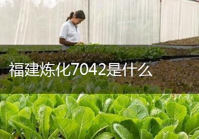 福建炼化7042是什么