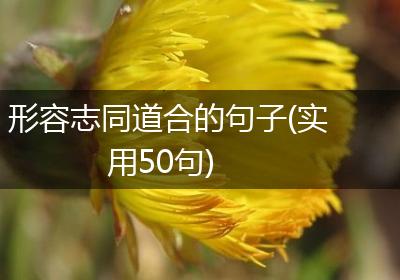 形容志同道合的句子(实用50句)