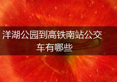 洋湖公园到高铁南站公交车有哪些