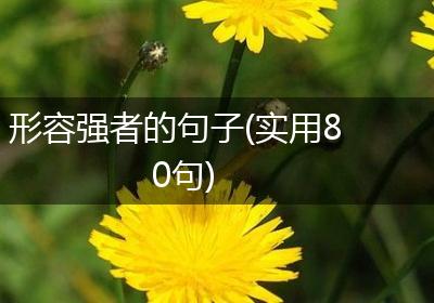 形容强者的句子(实用80句)