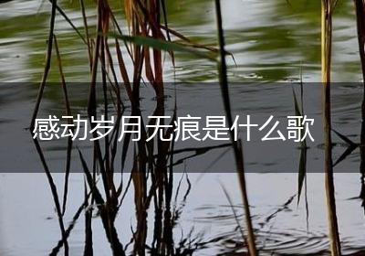 感动岁月无痕是什么歌
