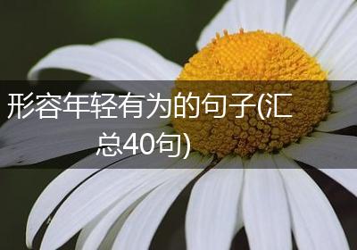 形容年轻有为的句子(汇总40句)