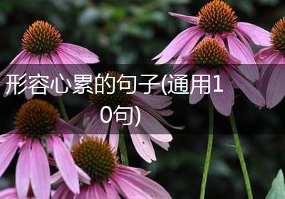 形容心累的句子(通用10句)
