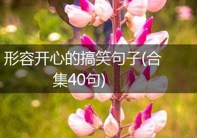 形容开心的搞笑句子(合集40句)