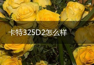 卡特325D2怎么样