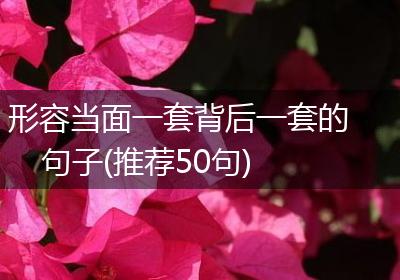 形容当面一套背后一套的句子(推荐50句)