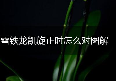 雪铁龙凯旋正时怎么对图解