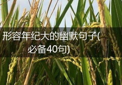 形容年纪大的幽默句子(必备40句)