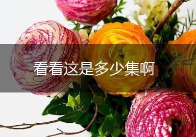看看这是多少集啊