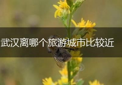 武汉离哪个旅游城市比较近