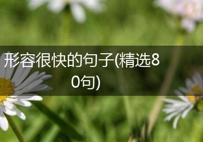 形容很快的句子(精选80句)