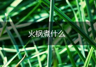 火锅煮什么