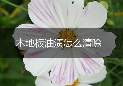 木地板油渍怎么清除