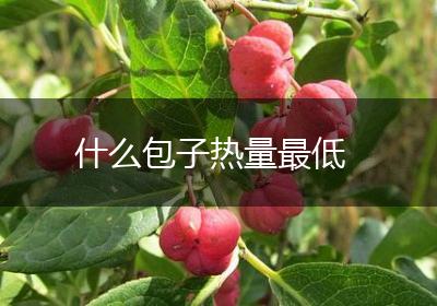 什么包子热量最低