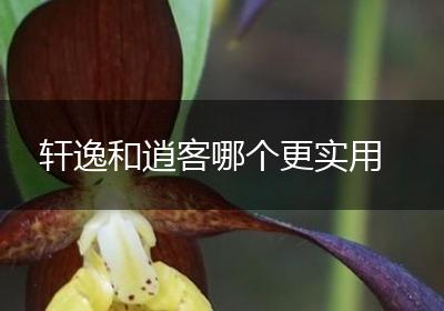 轩逸和逍客哪个更实用