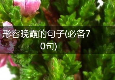 形容晚霞的句子(必备70句)