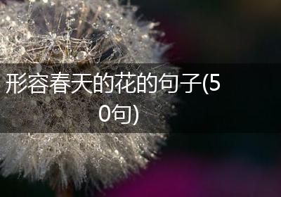 形容春天的花的句子(50句)