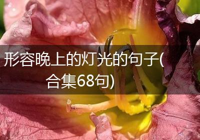 形容晚上的灯光的句子(合集68句)