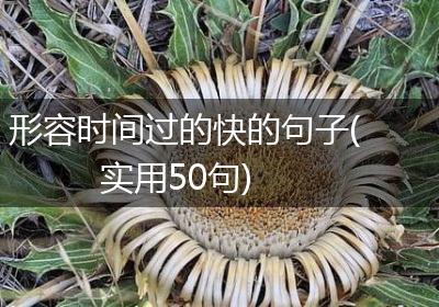 形容时间过的快的句子(实用50句)