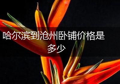 哈尔滨到沧州卧铺价格是多少