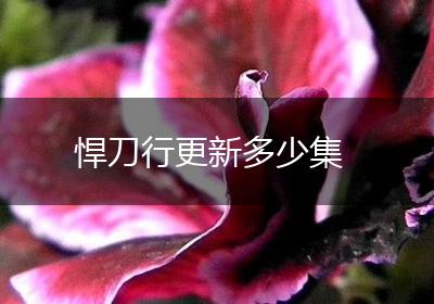 悍刀行更新多少集