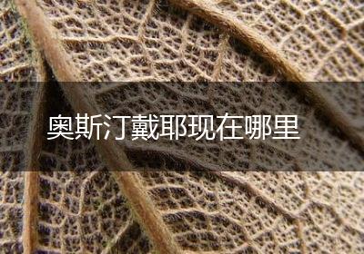 奥斯汀戴耶现在哪里
