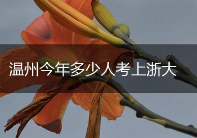 温州今年多少人考上浙大