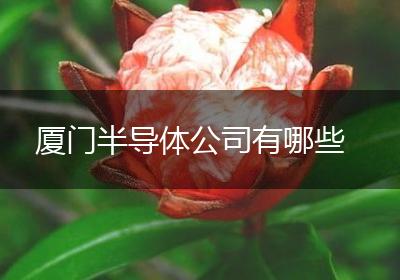 厦门半导体公司有哪些