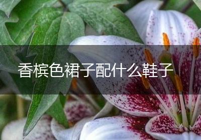 香槟色裙子配什么鞋子