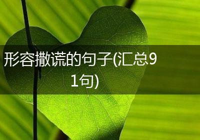 形容撒谎的句子(汇总91句)