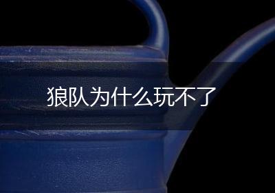 狼队为什么玩不了