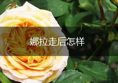 娜拉走后怎样