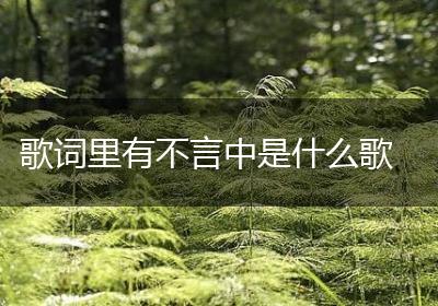 歌词里有不言中是什么歌