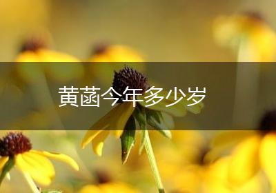 黄菡今年多少岁