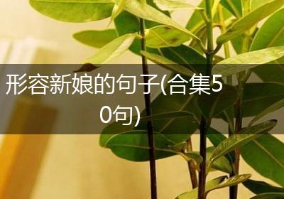 形容新娘的句子(合集50句)