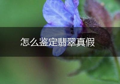 怎么鉴定翡翠真假