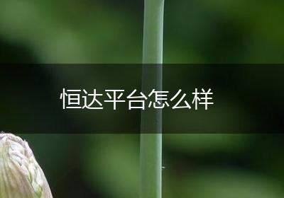 恒达平台怎么样