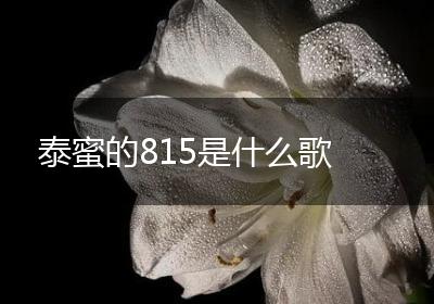 泰蜜的815是什么歌