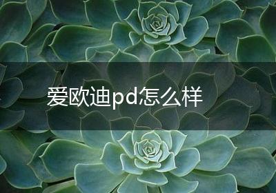 爱欧迪pd怎么样