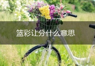 篮彩让分什么意思