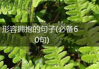 形容拥抱的句子(必备60句)