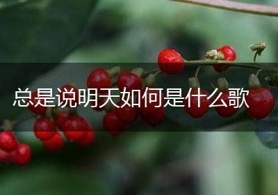总是说明天如何是什么歌