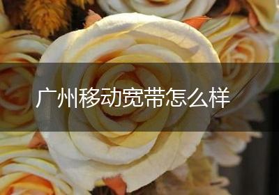 广州移动宽带怎么样