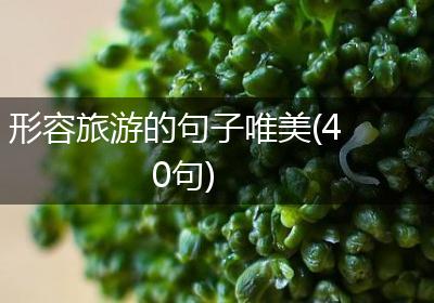 形容旅游的句子唯美(40句)