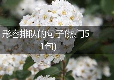 形容排队的句子(热门51句)