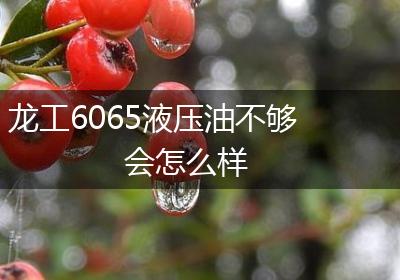 龙工6065液压油不够会怎么样