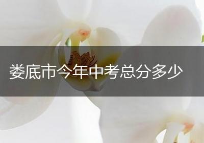 娄底市今年中考总分多少
