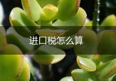 进口税怎么算